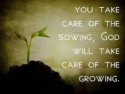 The Law of Sowing and Reaping_ – Joy4Life Ministries