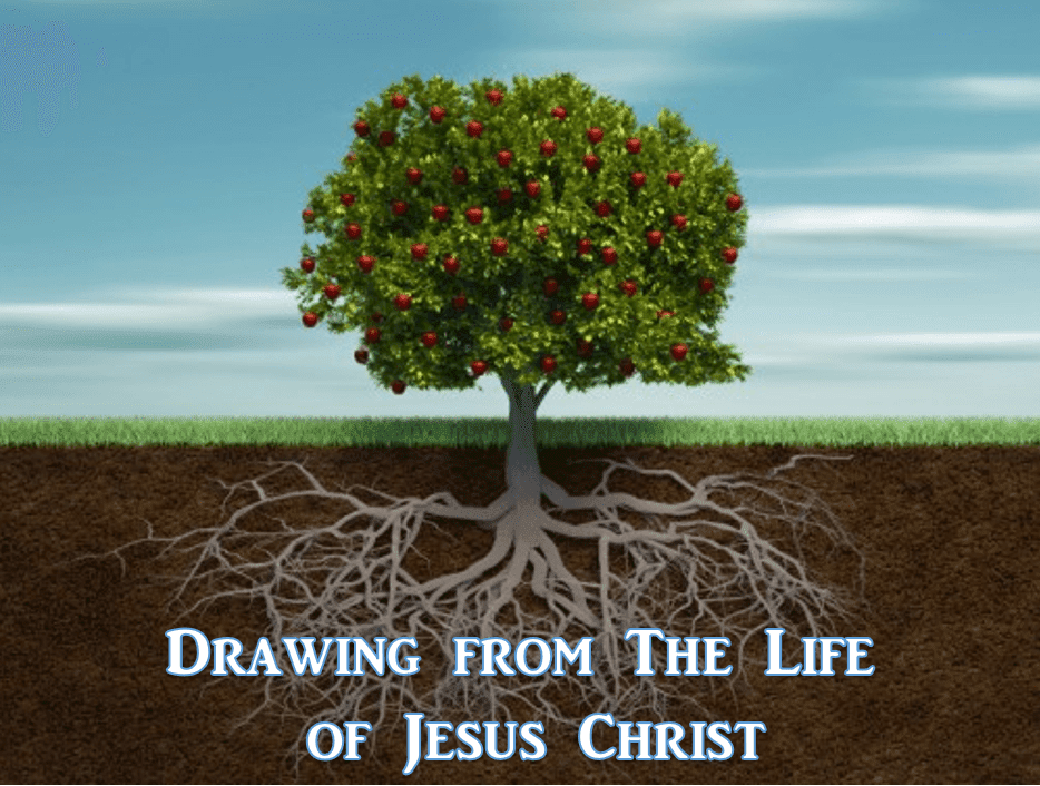 TREES OF RIGHTEOUSNESS Part 2 – His Precious Gift